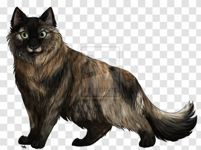 Whiskers Dog Breed Black Cat - Snout Transparent PNG