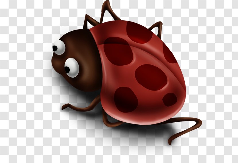 Insect Ladybird Clip Art - Snout - Red Insects Transparent PNG
