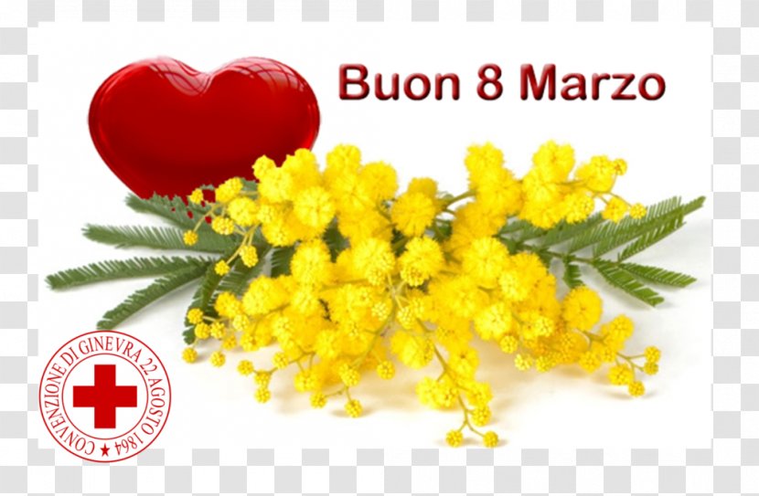 8 March Genoa International Women's Day Woman Image - Flower - Festa Della Donna Transparent PNG