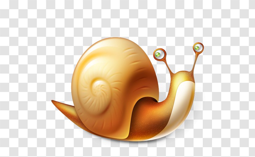 Snail Download Icon - Candybar - Snails Transparent PNG