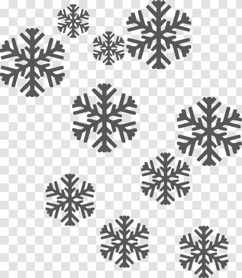 Christmas Snowflake Icon - Monochrome Photography - Creative Background Transparent PNG