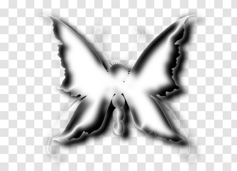 Moth Symmetry White Font - Wing - Vas Transparent PNG