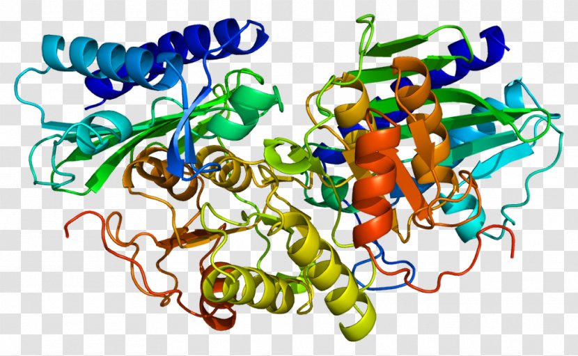 Inositol Monophosphatase 1 Lithium 2 - Protein - Trisphosphate Transparent PNG