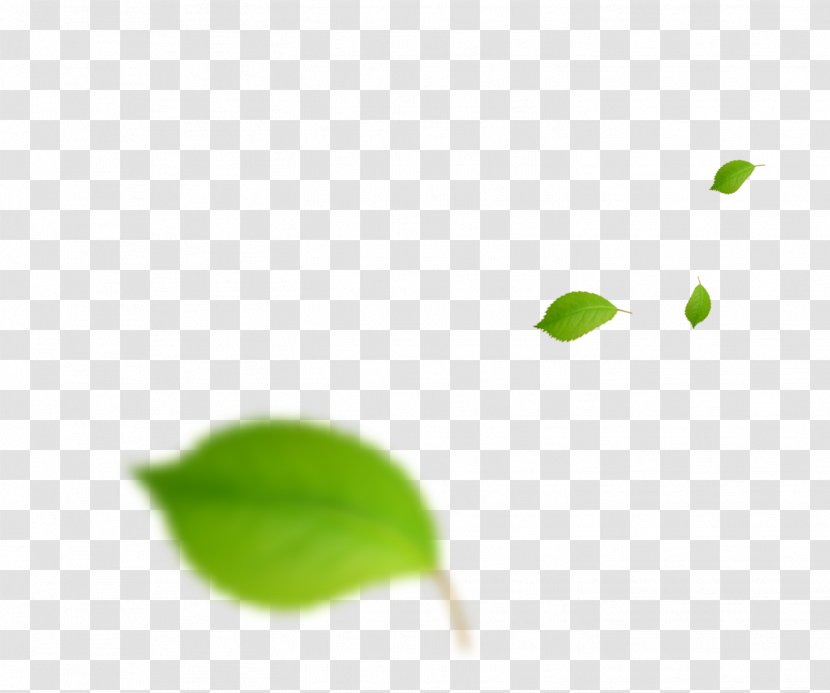 Green Leaf Wallpaper - Computer - Falling Leaves Transparent PNG