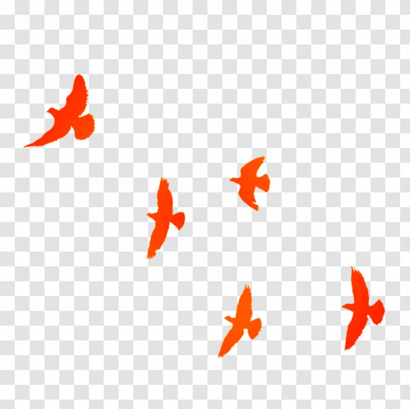 China Bird - Moths And Butterflies - Orange Geese Flying South Transparent PNG