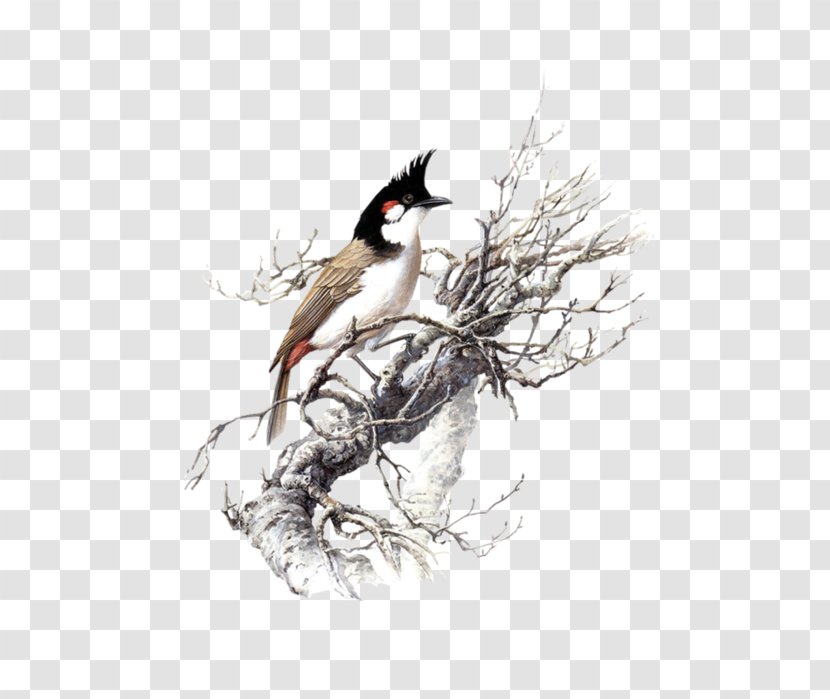 Dog Bird Co Goat Thunderstorm Aviculture - Tree - Chinese Style Transparent PNG