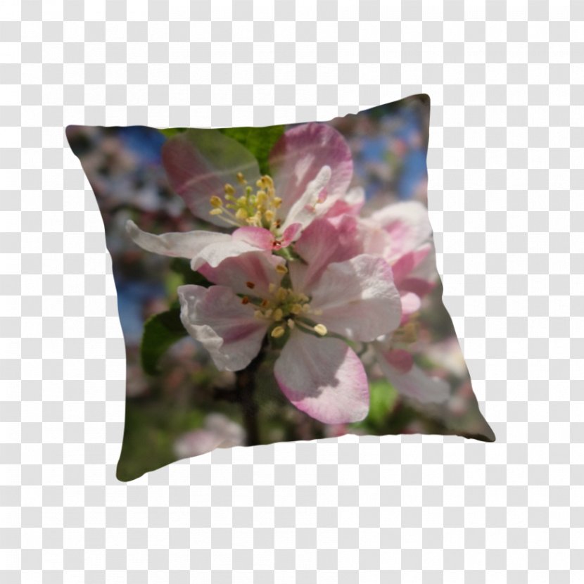 Throw Pillows Cushion Flower Petal - Peach Blossom Transparent PNG