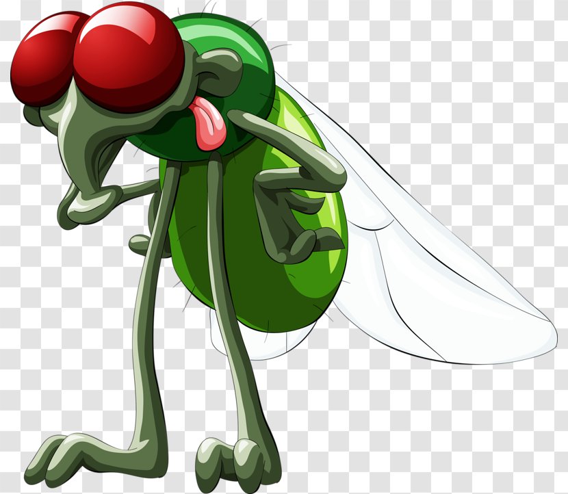 Mosquito Cartoon Stock Illustration - Green Bottle Fly Transparent PNG