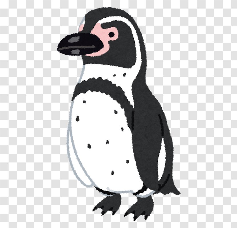 Magellanic Penguin African Humboldt Southern Rockhopper - King Transparent PNG