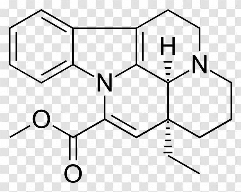 Vinpocetine Nootropic Vincamine Chemical Substance Compound - Tree - Silhouette Transparent PNG