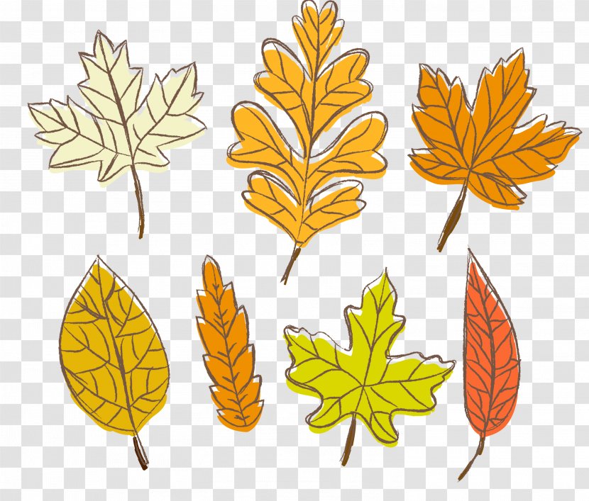Leaf Autumn - Food - Painted Yellow Leaves Transparent PNG