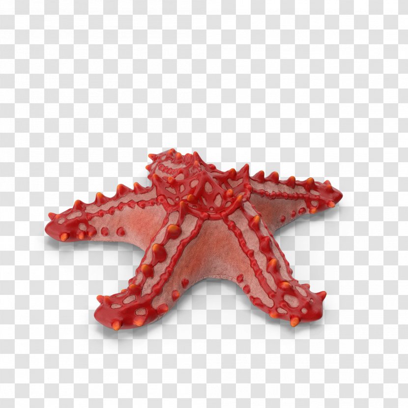 Starfish Clip Art - A Transparent PNG