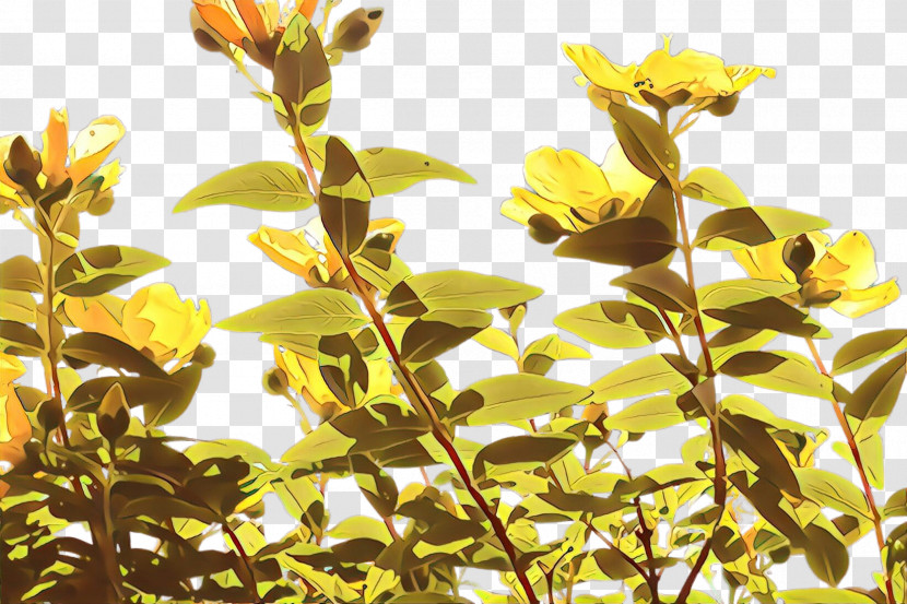 Flower Plant Yellow Leaf Branch Transparent PNG