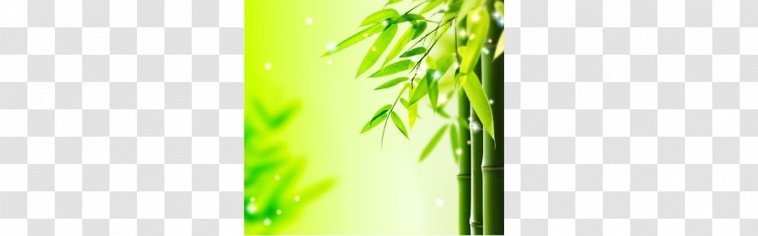 Bamboo Bamboe Leaf Green - Resource - Bamboo, Leaves, Transparent PNG
