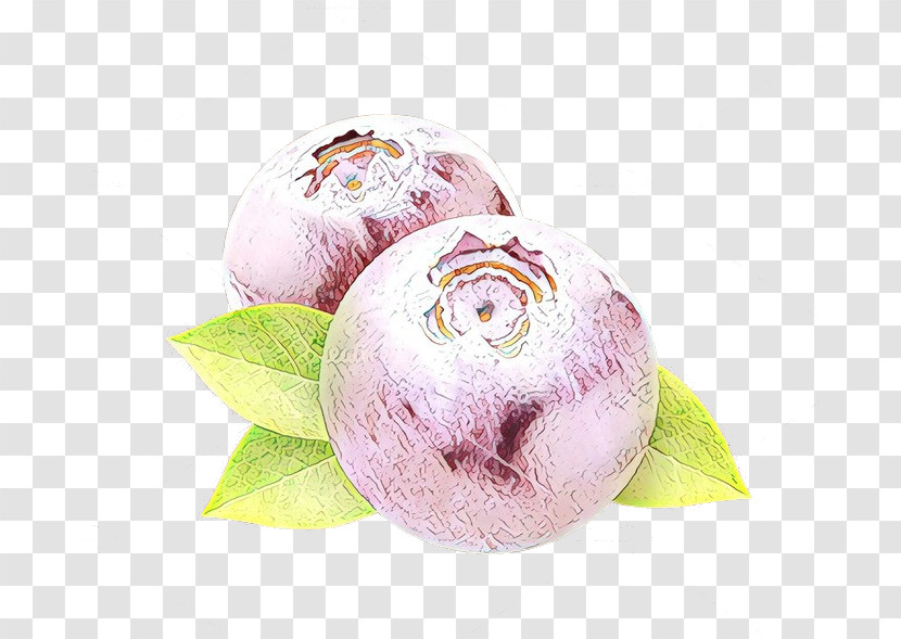 Pink Food Plant Turnip Vegetable Transparent PNG