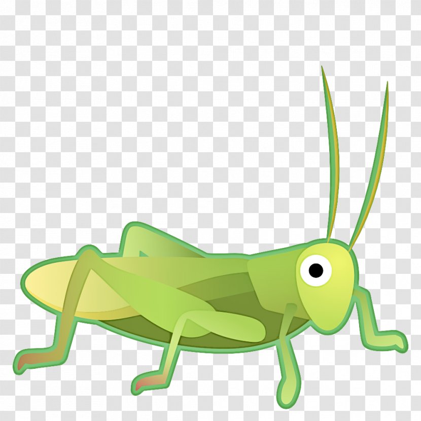 Grasshopper - Mantidae - Animal Figure Transparent PNG