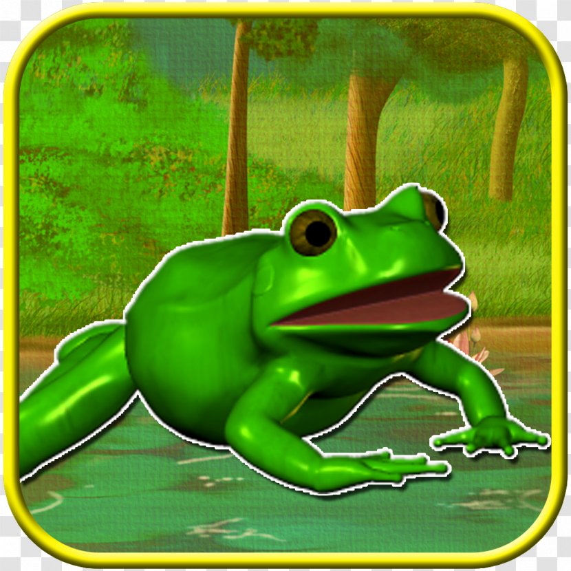 True Frog Tree Toad - Fauna Transparent PNG