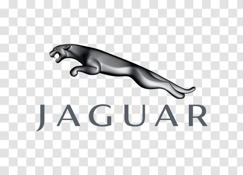 Jaguar Cars Land Rover BMW - Brand Transparent PNG