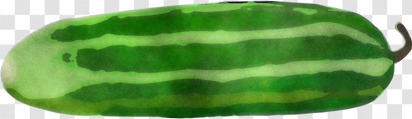 Banana Leaf - Green - Plant Transparent PNG