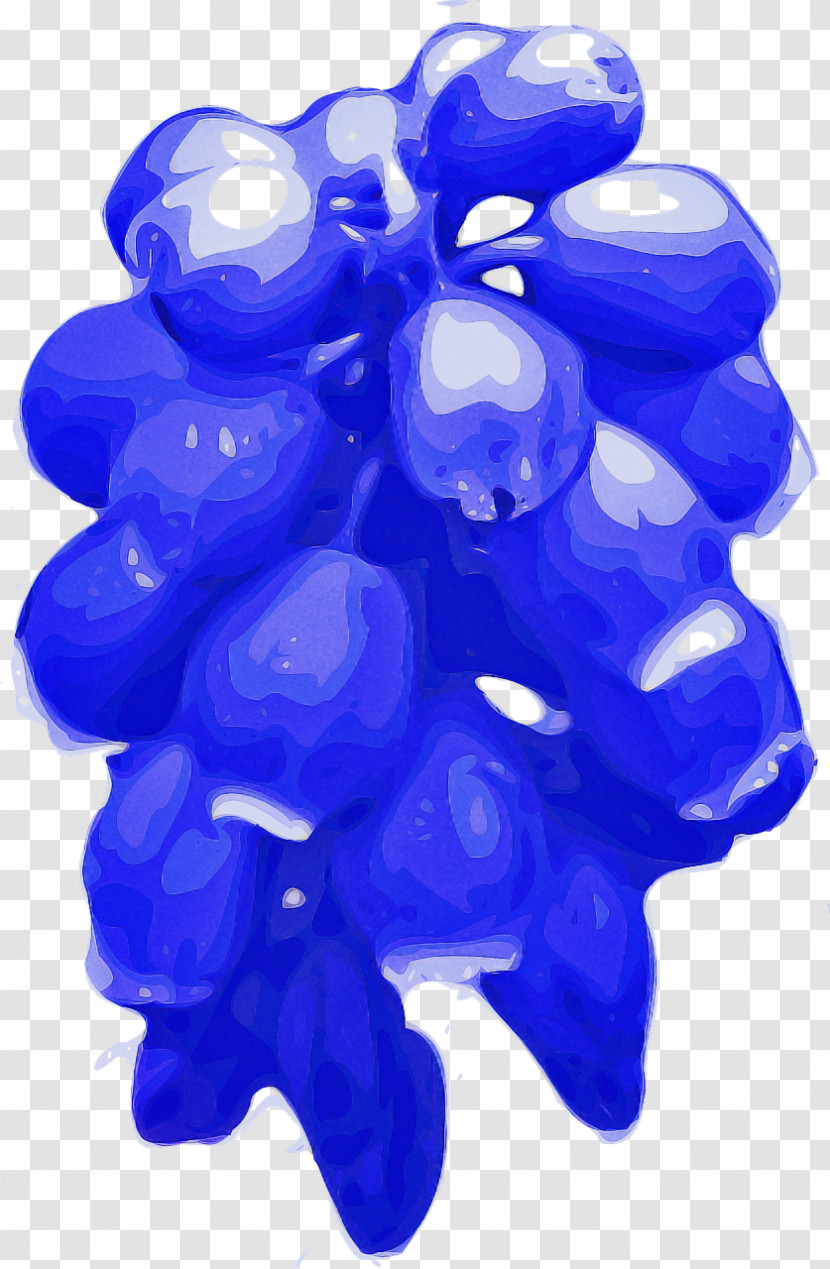Cobalt Blue Blue Electric Blue Plant Transparent PNG