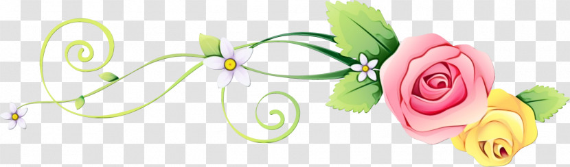 Plant Flower Petal Transparent PNG