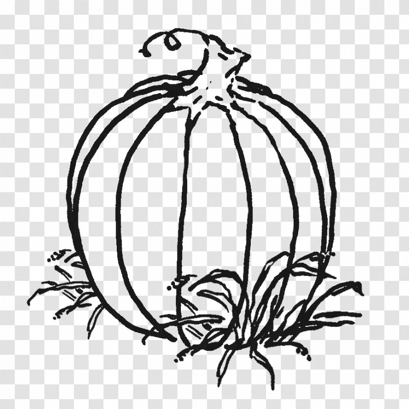 Pumpkin Drawing Clip Art - Coloring Book - Lilac Transparent PNG