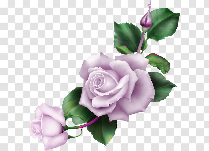 Blue Rose Drawing Flower Garden Roses - Barra Filigree Transparent PNG