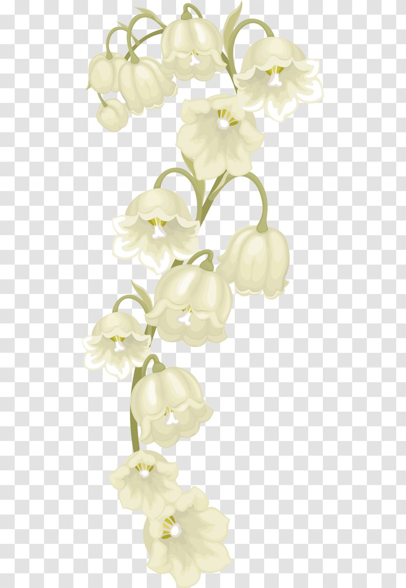 Moth Orchids Floral Design Cut Flowers Dendrobium - Flower Bouquet Transparent PNG