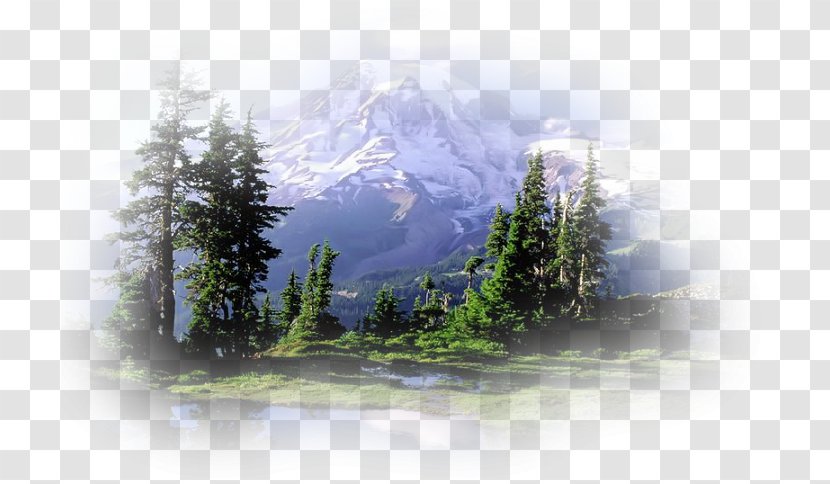 Van Trump Trail, Mount Rainier National Park Snow Lake Trail North Cascades Transparent PNG