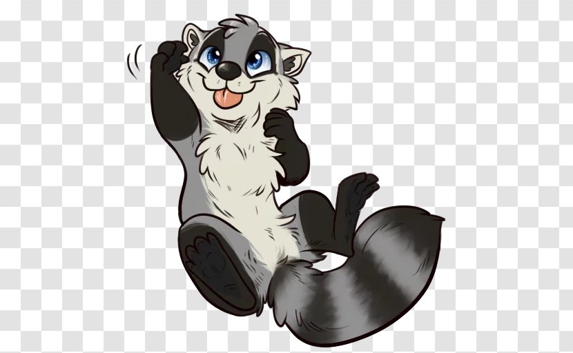 Whiskers Cat Raccoons Sticker Mammal Transparent PNG