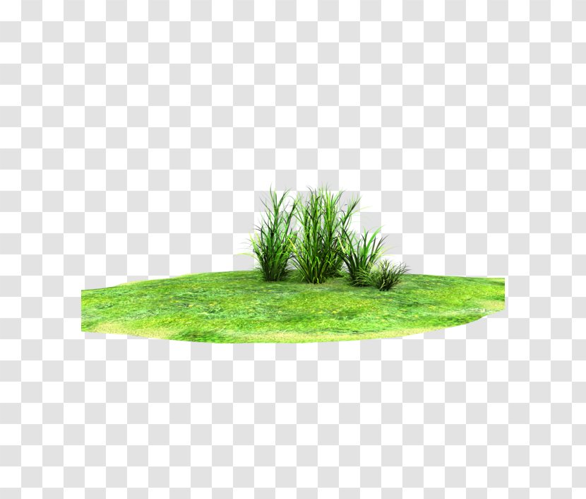 Lawn Rendering Clip Art - Farm Land Transparent PNG