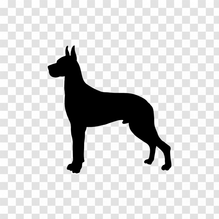 Great Dane Boxer Puppy Newfoundland Dog Greyhound - Silhouette - GREAT DANE Transparent PNG