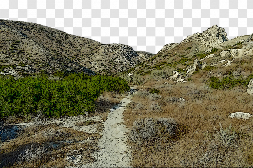 Outcrop Geology Terrain Shrubland Nature Transparent PNG