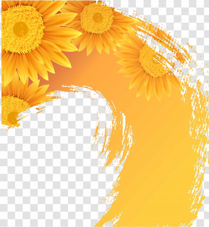 Common Sunflower Illustration - Daisy Family Transparent PNG