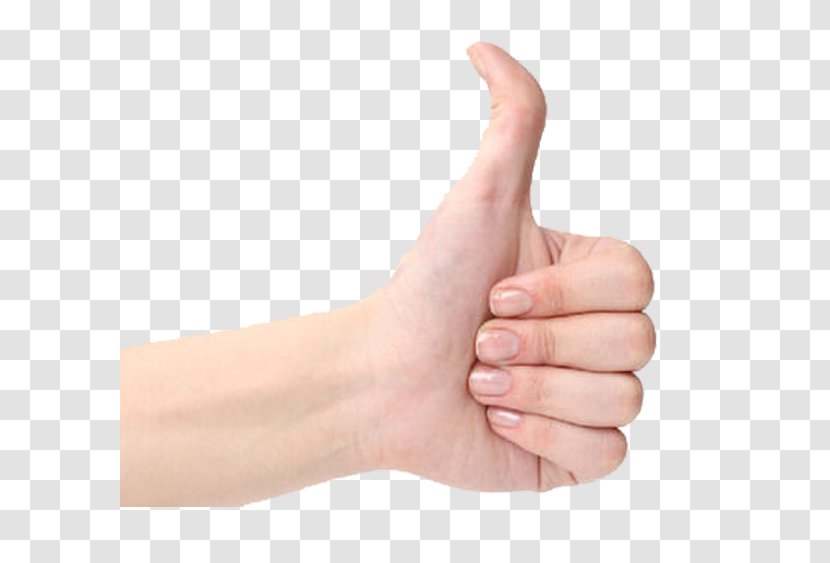 Gesture Hand - Nail - Bend The Direction Of Thumb Finger Transparent PNG