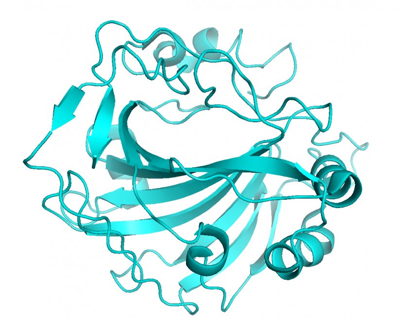 Chemistry Cartoon - Protein - Line Art Turquoise Transparent PNG