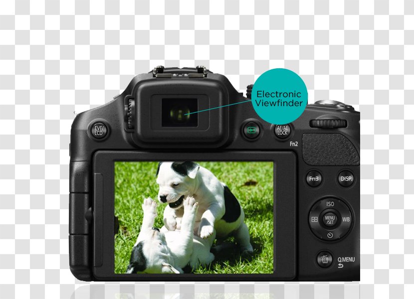 Digital SLR Panasonic Lumix DMC-FZ200 DMC-FZ300 Camera Lens Bridge - Dmcfz300 Transparent PNG