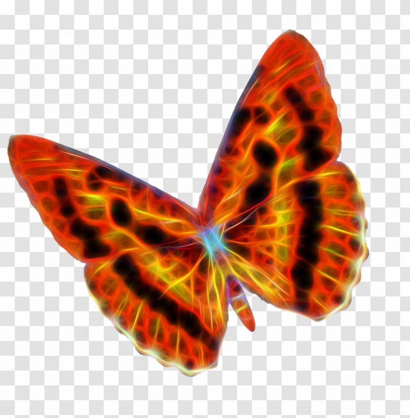 Butterfly Flame Moth Transparent PNG