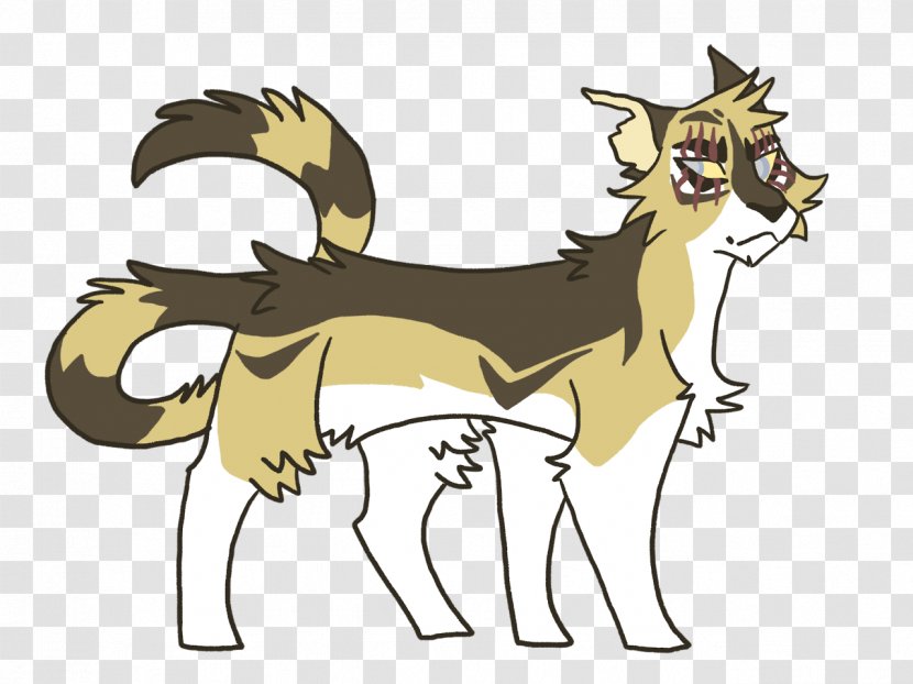Cat Dog Longtail Warriors Horse - Small To Medium Sized Cats Transparent PNG