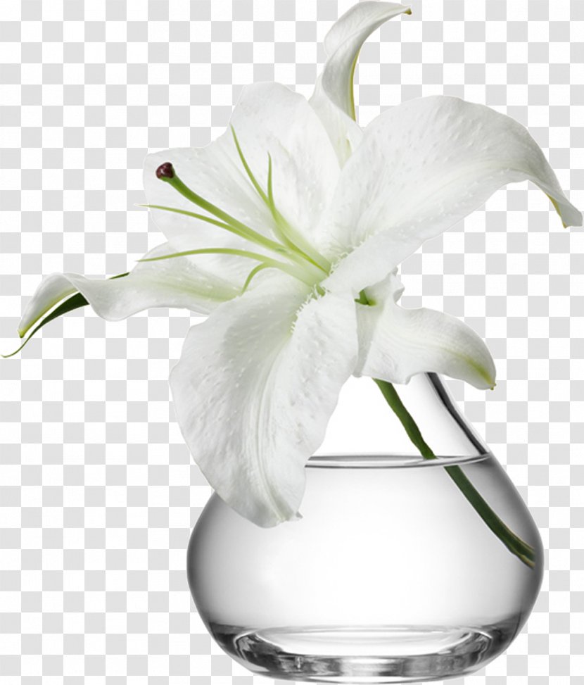 Vase Flowerpot Glass Flower Bouquet - Plant Stem Transparent PNG