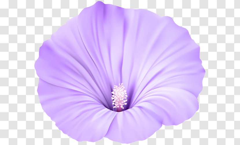 Pink Flowers Violet Purple Clip Art - Rose Transparent PNG