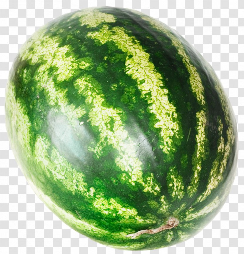 Watermelon Citrullus Lanatus Icon - Sphere Transparent PNG