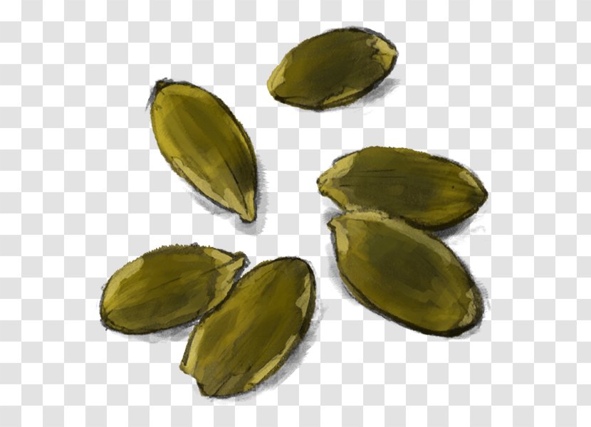 Pistachio Vegetarian Cuisine Pumpkin Seed - Seeds Transparent PNG