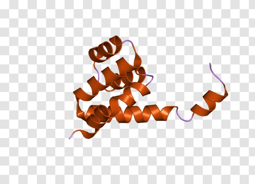 NOD1 Desktop Wallpaper Protein Receptor Clip Art - Nucleotide - Computer Transparent PNG