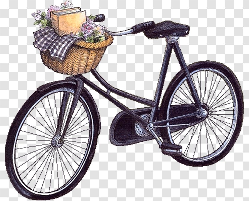 Bicycle GIF Cycling Image Woman - Rim Transparent PNG