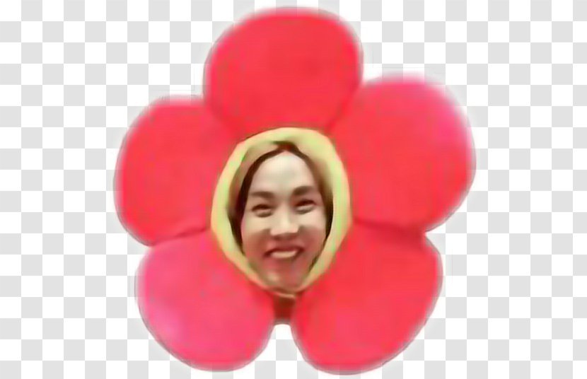 BTS Love Yourself: Her Flower Daydream Image - Kpop Transparent PNG