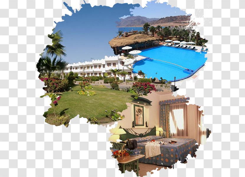 Swiss Inn Resort Dahab Vacation Property Tourism - Villa Transparent PNG