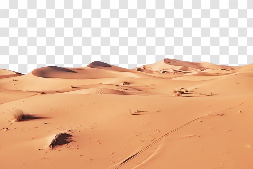 Desert Sand Aeolian Landform Erg Natural Environment - Landscape - Ecoregion Transparent PNG