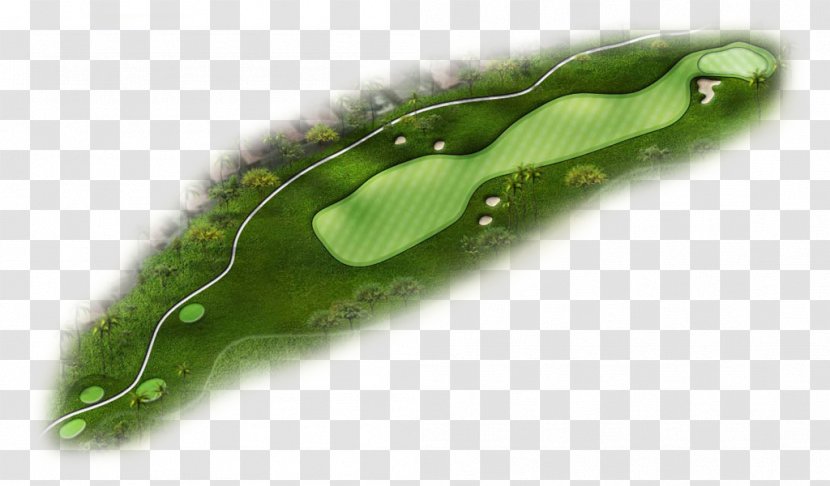Golf Course Tees Kapolei Club Par Transparent PNG
