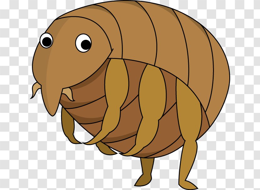 Insect Flea Canidae Dog Pest Transparent PNG